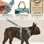 Dog wearing teal velvet harness and matching collar with bowtie