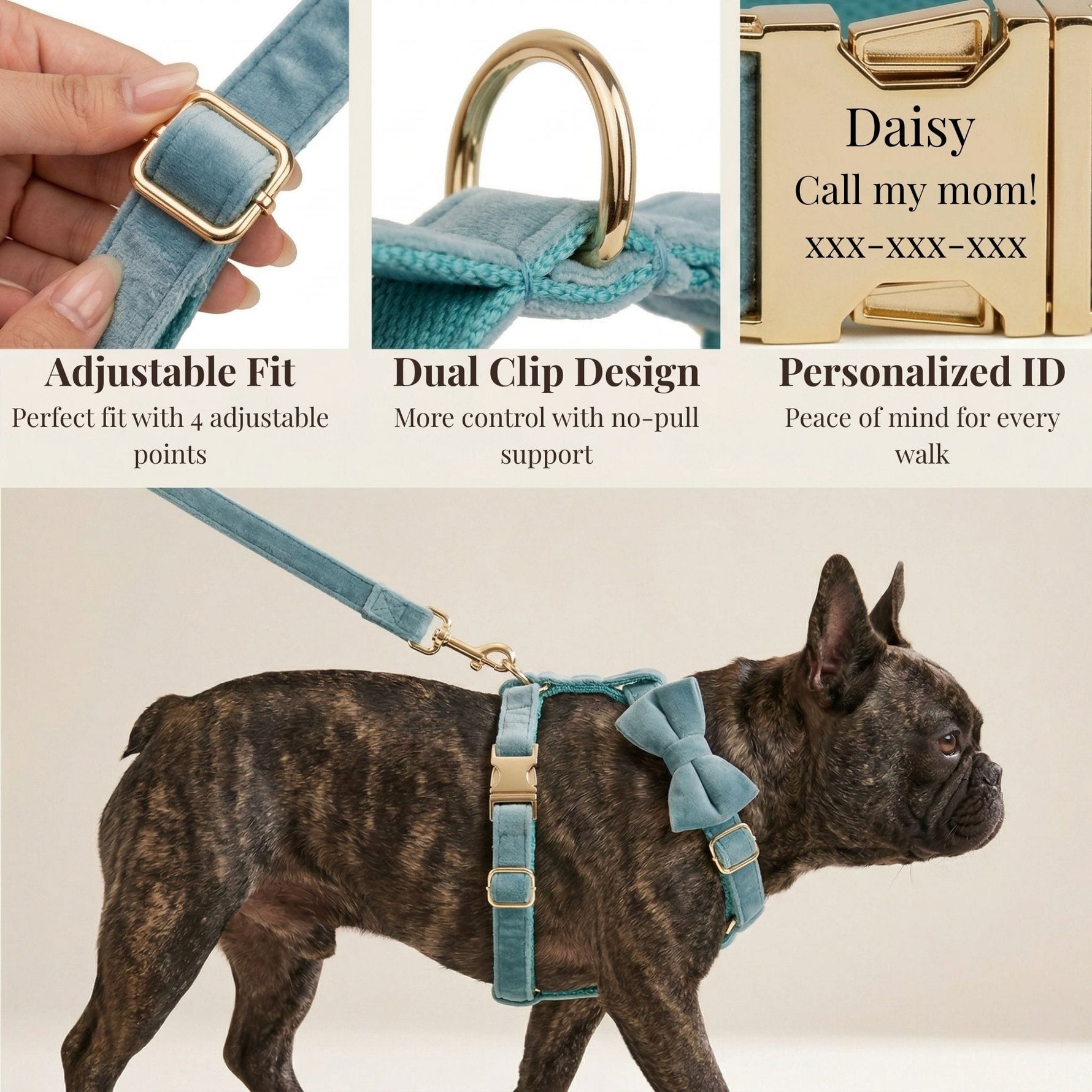 Dog wearing teal velvet harness and matching collar with bowtie