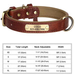 Brown PU leather dog collar with engraved ID tag reading COCO