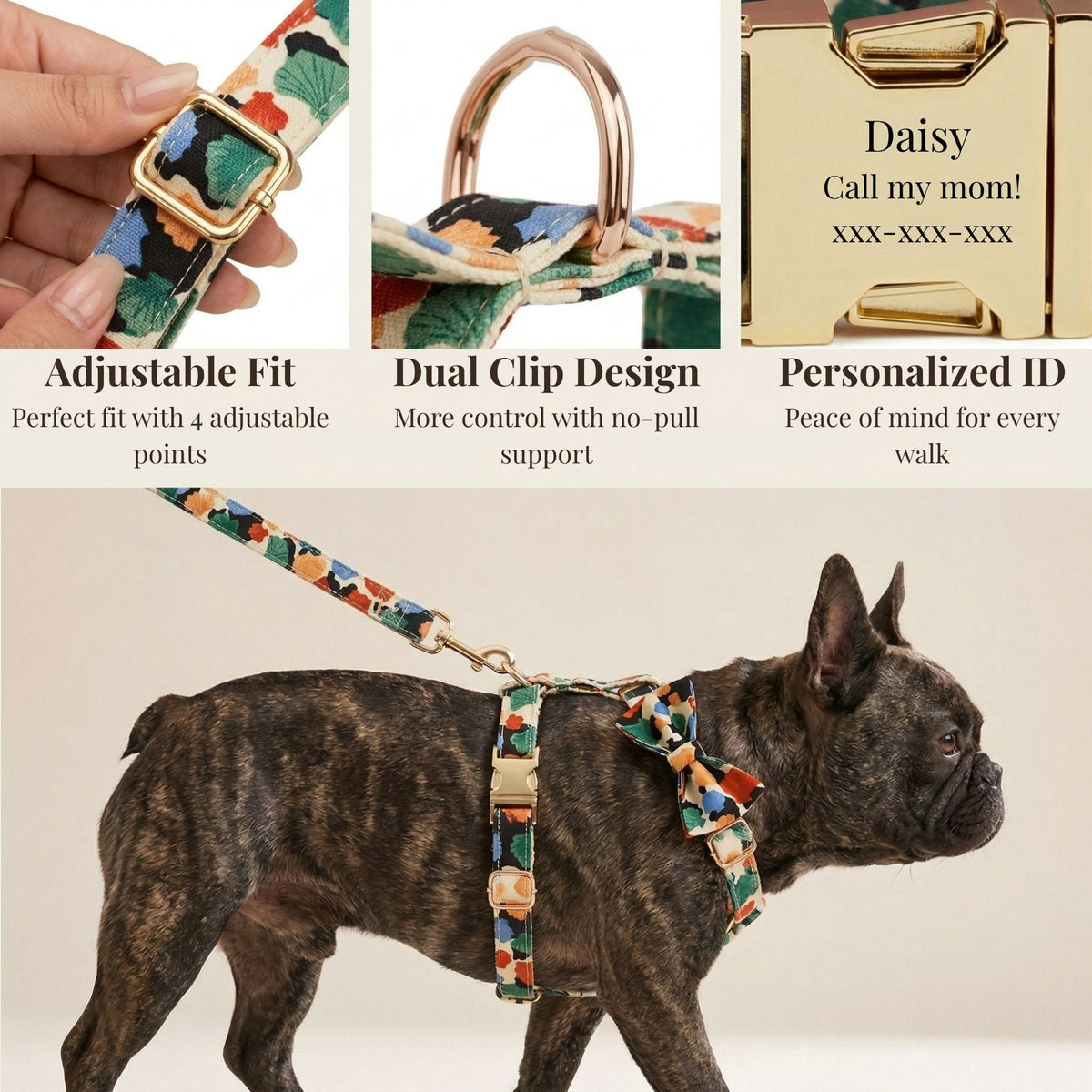 Floral dog collar with detachable bowtie and leash, worn on a small dog