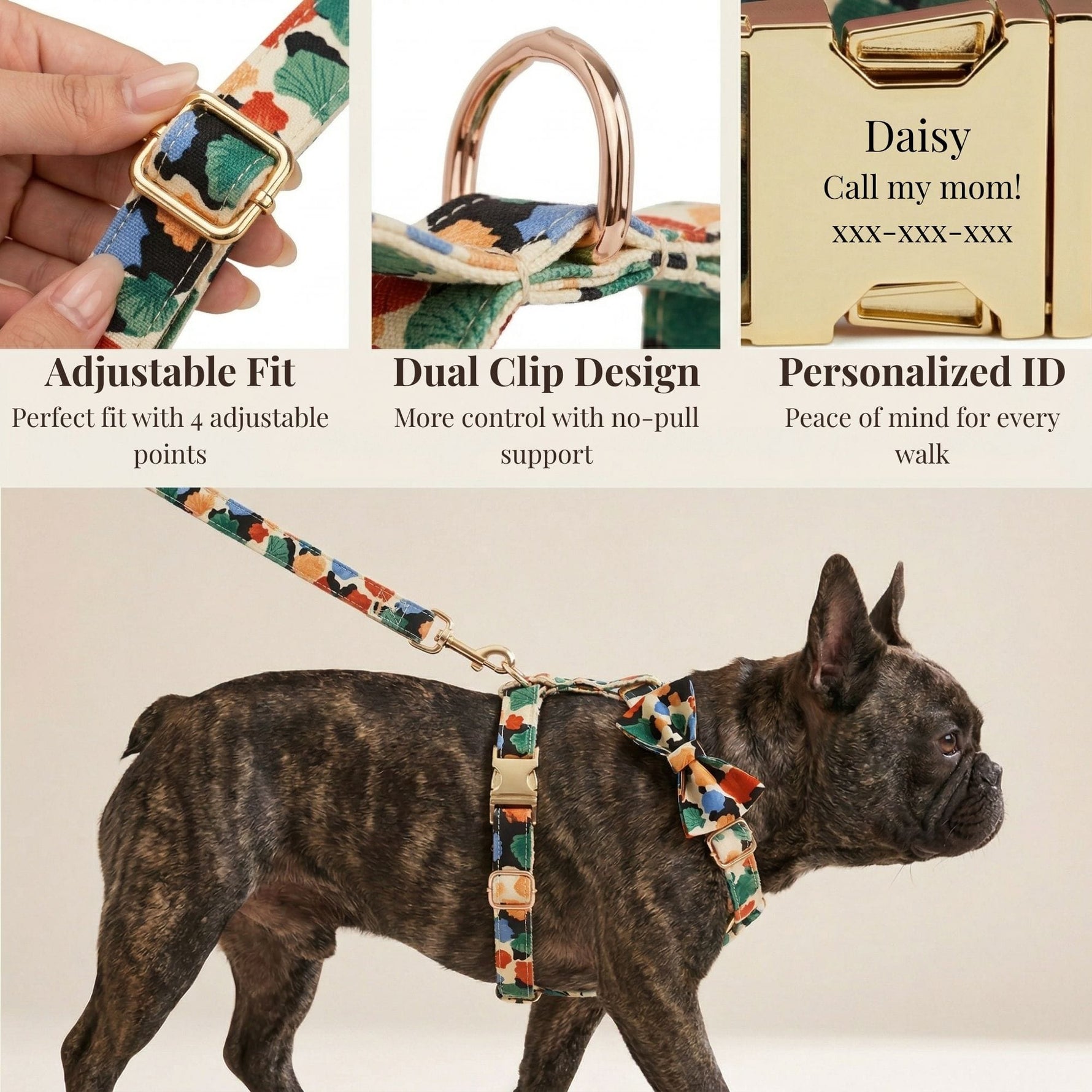 Floral dog collar with detachable bowtie and leash, worn on a small dog