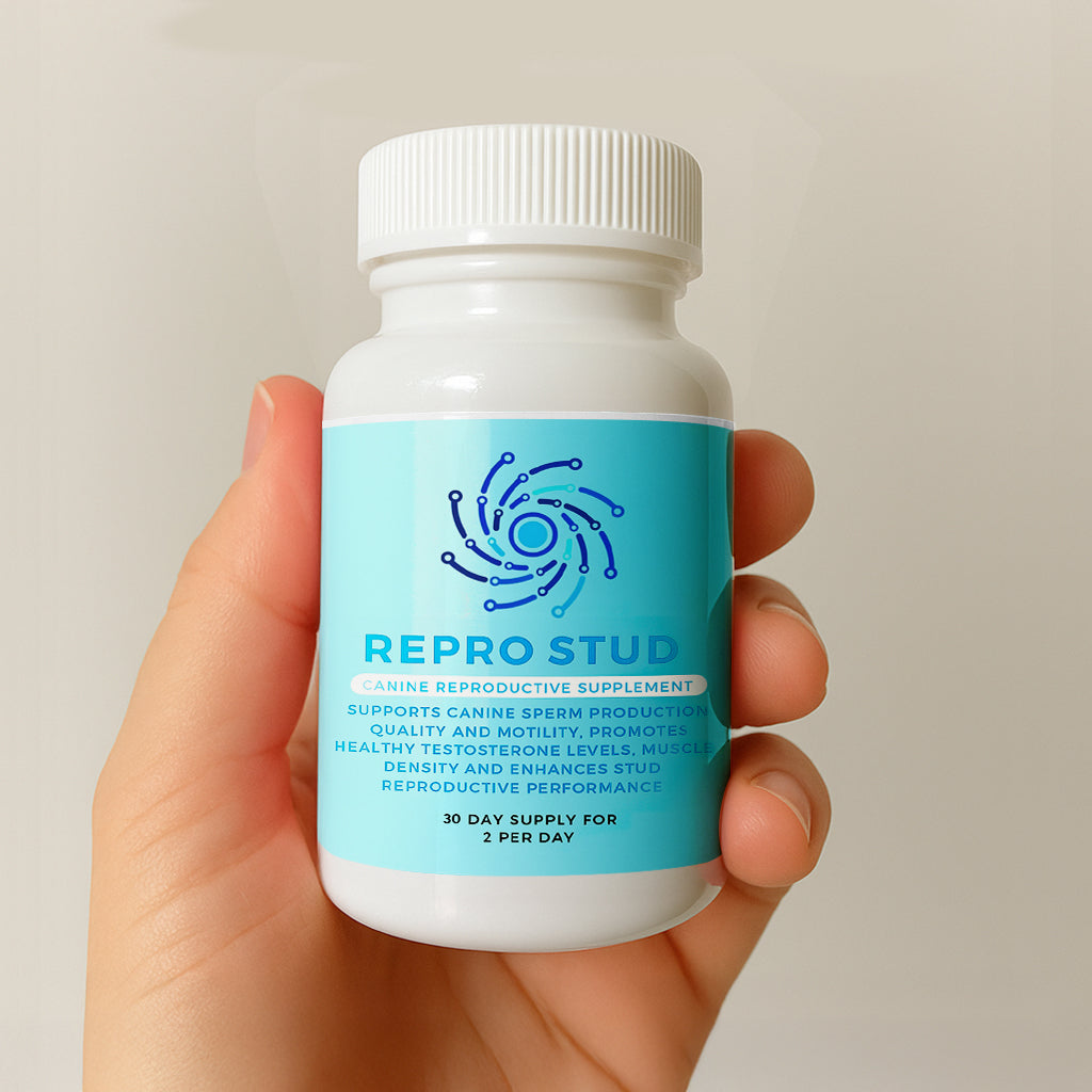 Canine reproduction supplement bottle held in a hand, blue label facing forward