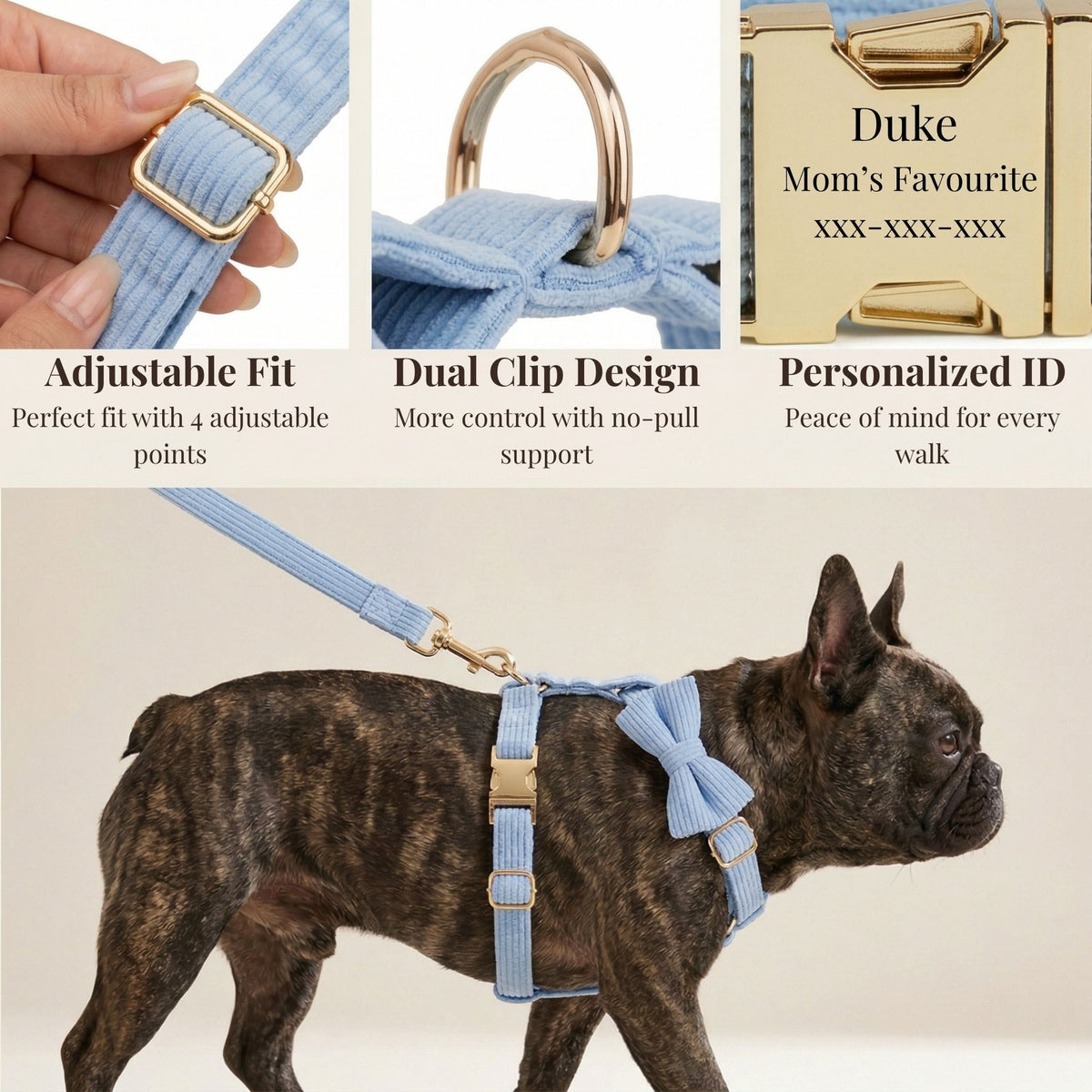 Blue corduroy dog harness set with adjustable straps, gold clips, and leash