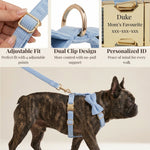 Blue corduroy dog harness set with adjustable straps, gold clips, and leash