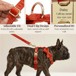 Red velvet dog harness with adjustable straps and dual clips, with matching bowtie