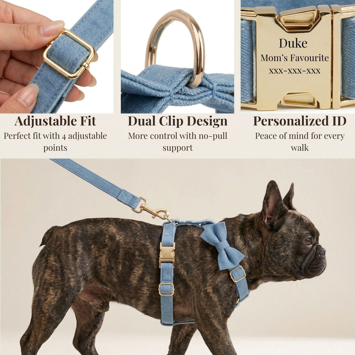 Blue denim dog harness set on a dog, with matching bowtie collar and adjustable straps