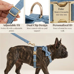 Blue denim dog harness set on a dog, with matching bowtie collar and adjustable straps