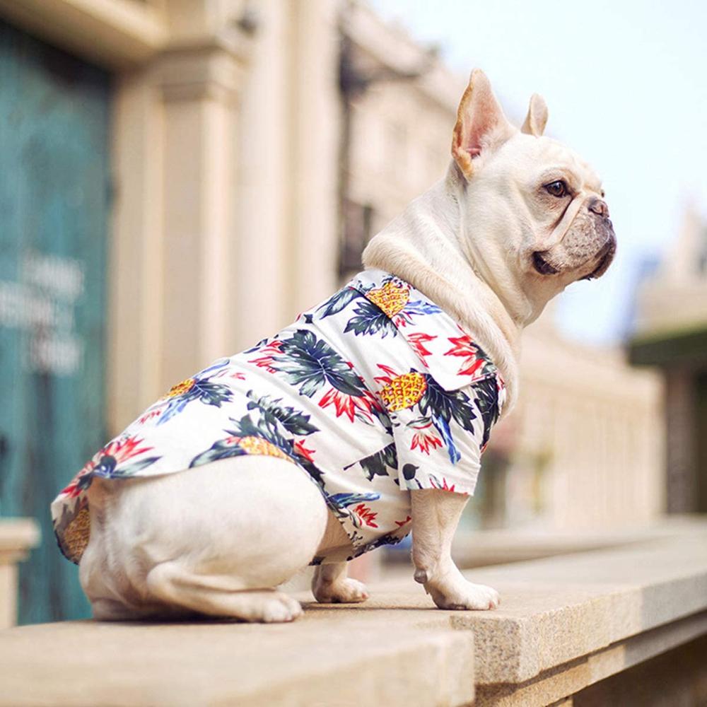 Tropical Hawaiian pet shirt with pineapple and palm print in red, blue, and white, button front