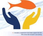 Includes supplement to help support fish after stress from transport and netting