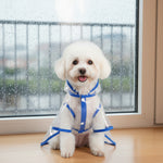 Waterproof pet raincoat for dogs, blue hooded poncho with snap front and leg straps