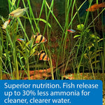 Tropical aquarium community fish among green plants