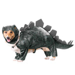 Stegosaurus dog costume, dark green textured jumpsuit with tail and spiked back plates