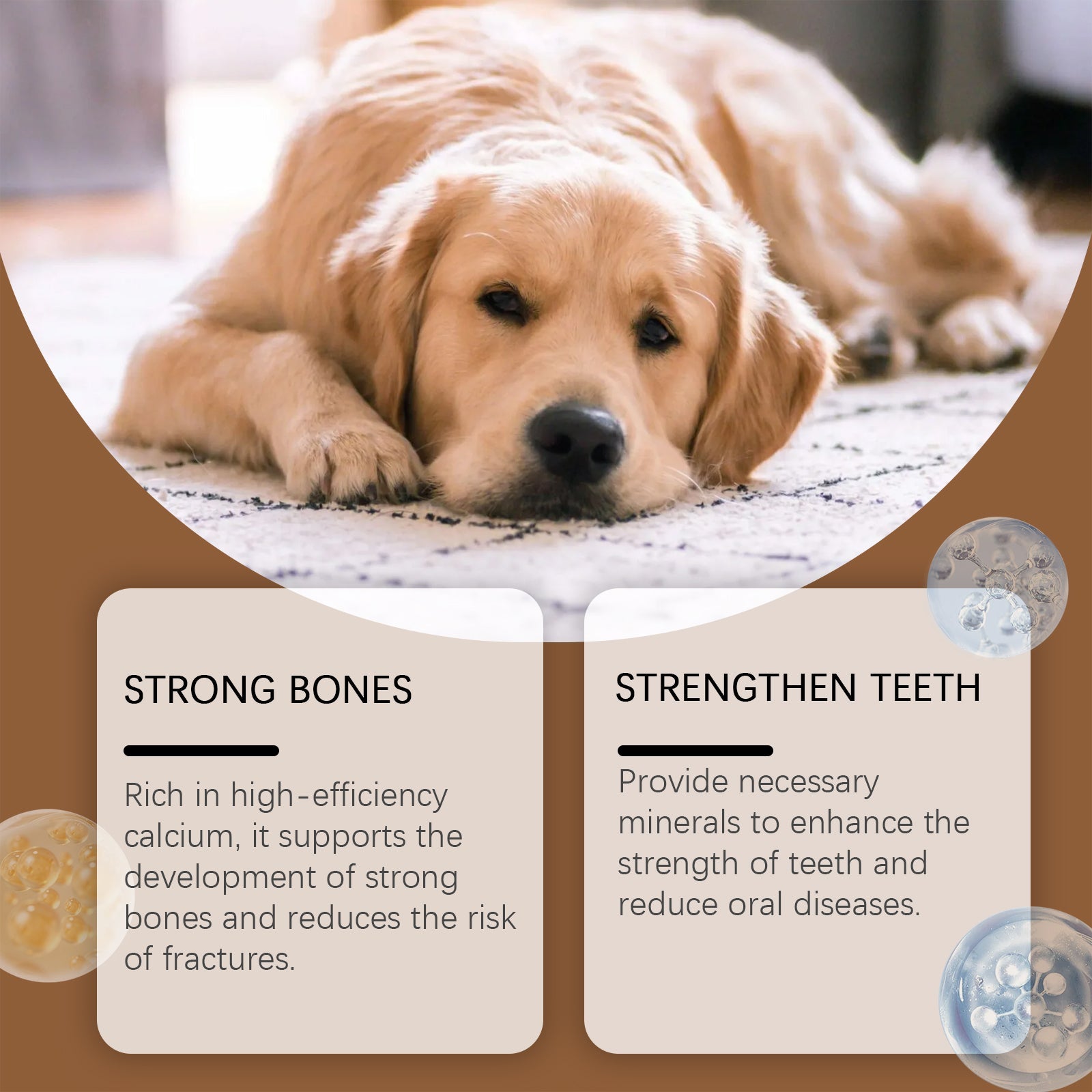 Golden retriever lying down with strong-bones and strengthen-teeth supplement cards