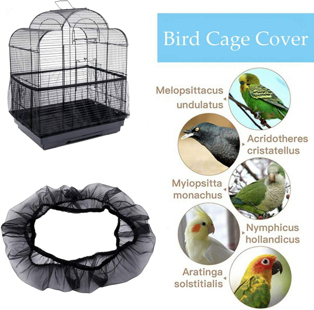 Bird cage cover seed catcher with black mesh loop and wire cage