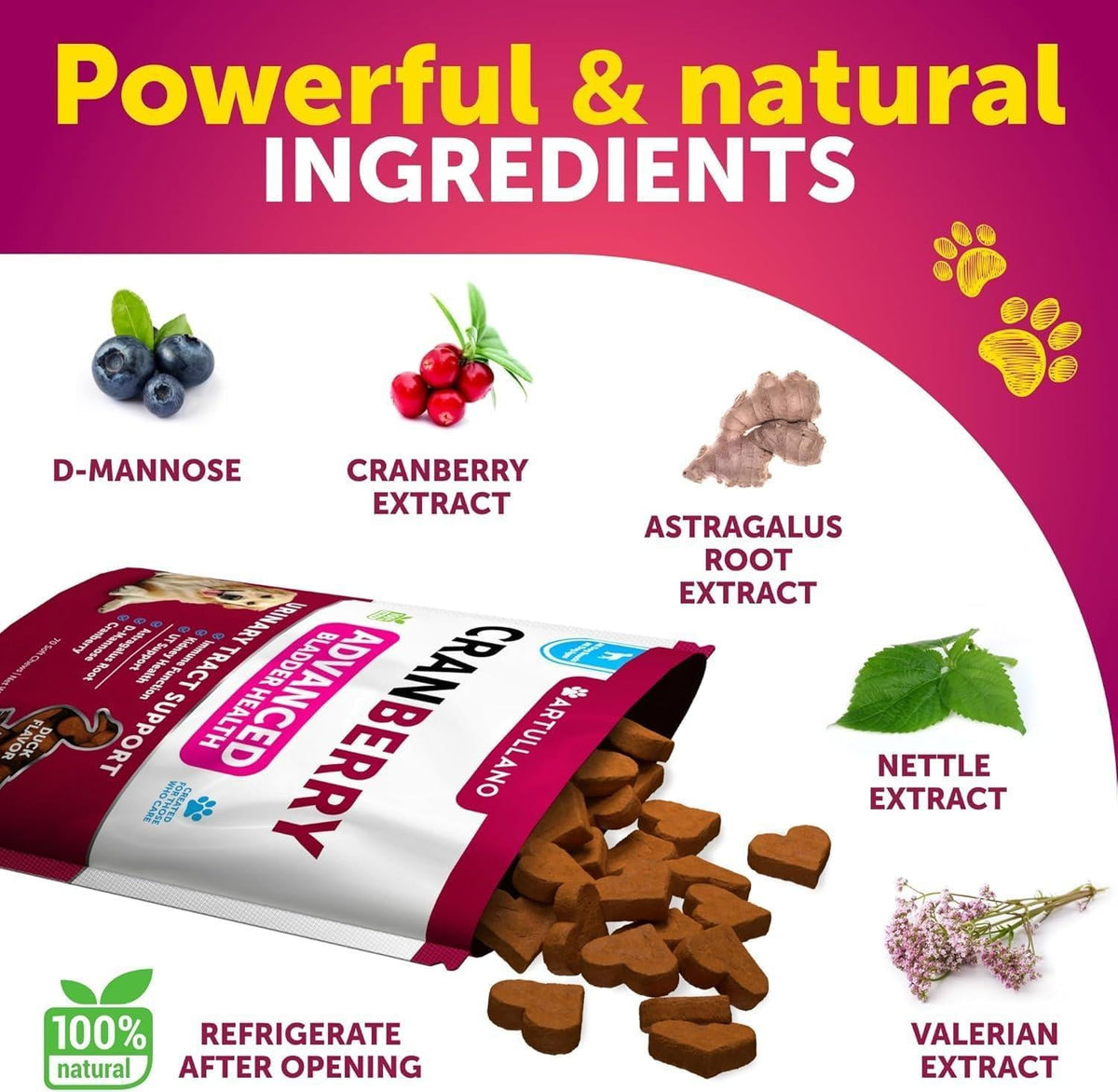 Ingredients graphic showing cranberry extract, D-mannose, astragalus root extract, nettle.
