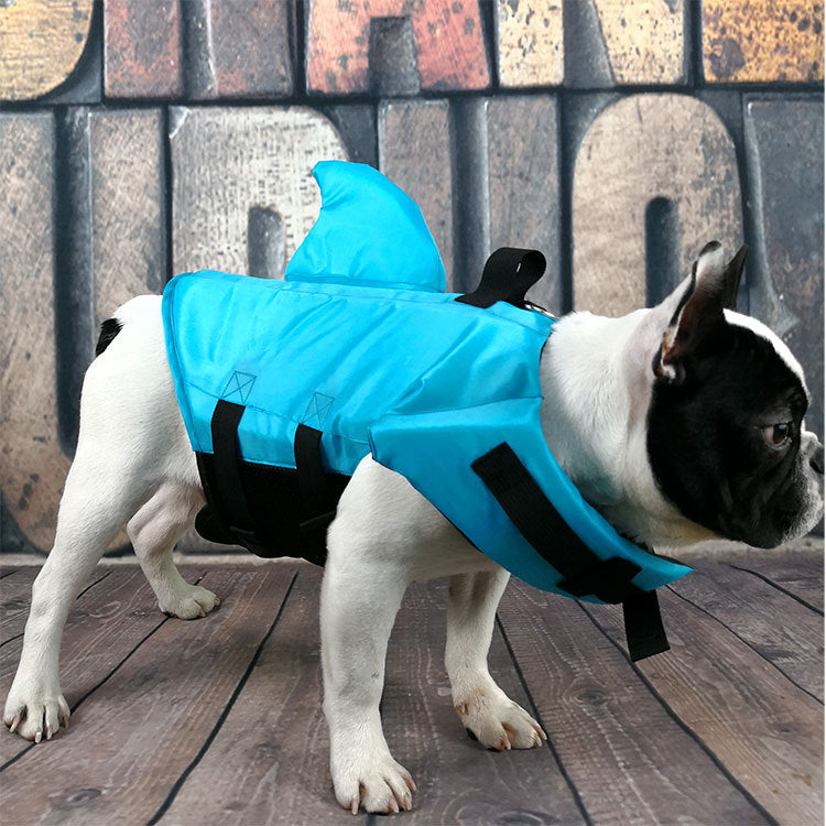 Blue dog pet swimsuit with black straps and built-in hood-like panel