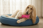 Pink silicone four-hole bone chew toy as a dog chews during play