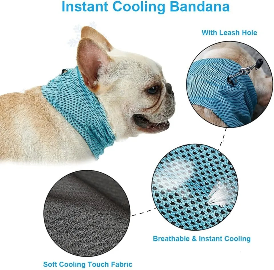 Turquoise cooling bandana with leash hole, breathable textured mesh