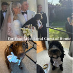 Dogs wearing white satin bowtie collars with matching accessories for weddings