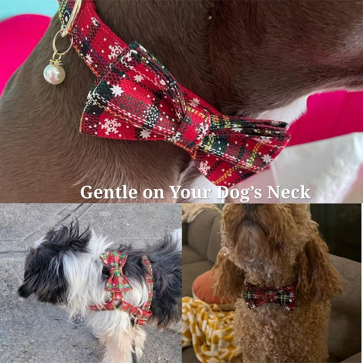 Plaid dog collar with attached bowtie in dark red and black with gold hardware
