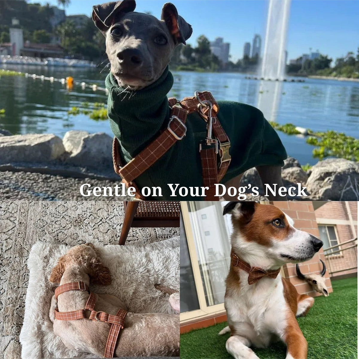 Dog wearing brown plaid harness and matching bow tie