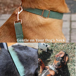 Dog wearing a dark green corduroy collar with gold metal buckle and matching bowtie