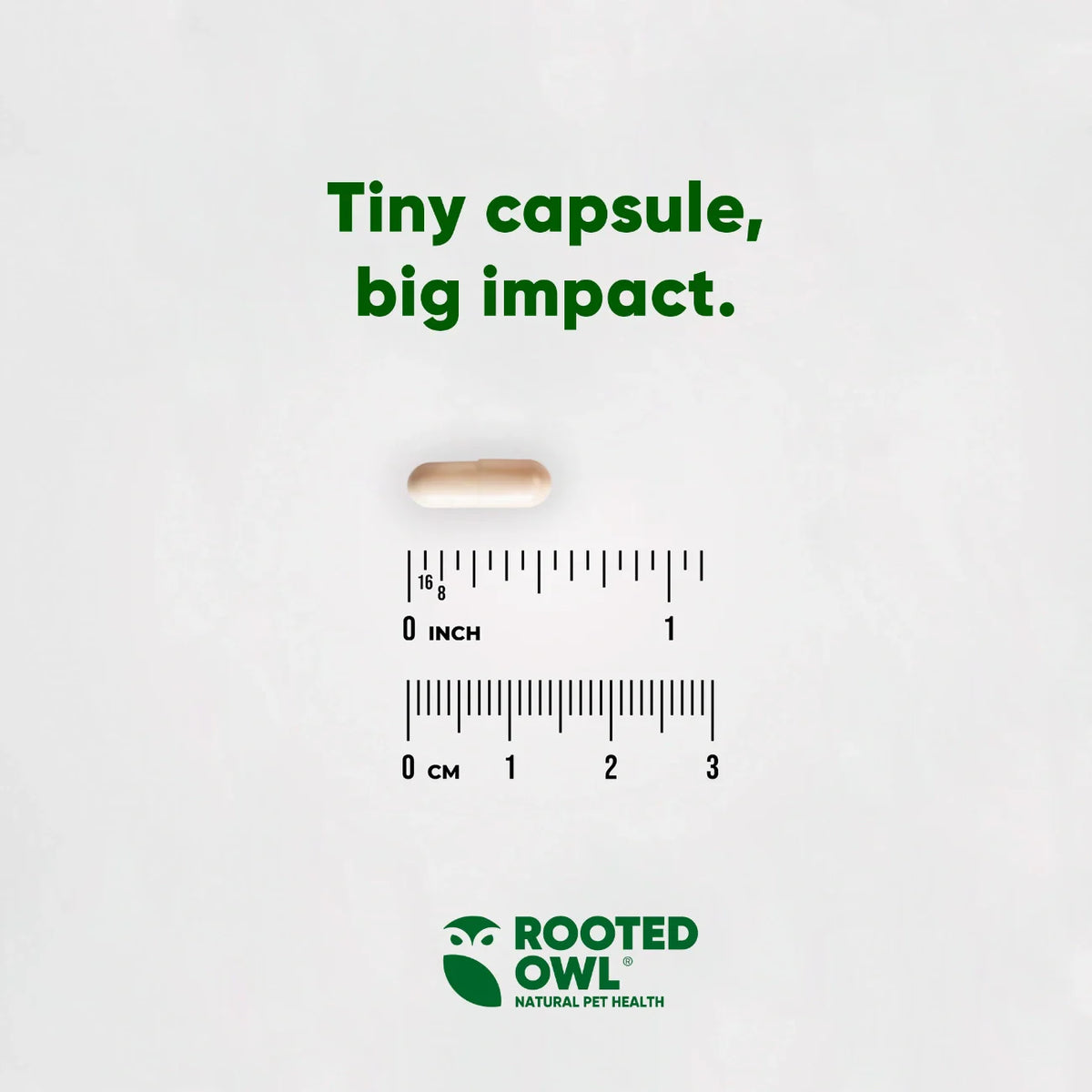 Dog supplement capsule next to size ruler for portion comparison