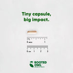 Dog supplement capsule next to size ruler for portion comparison