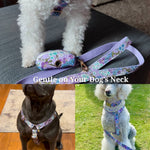 Purple floral dog collar and bow tie set on a small dog wearing a harness
