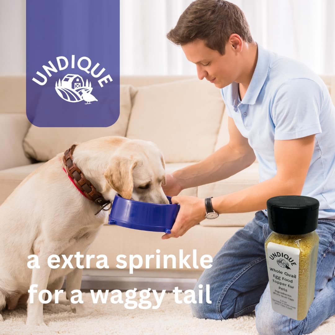 Quail egg food topper bottle with black cap as a person sprinkles for a dog