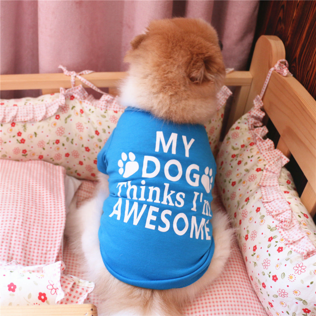 Blue cotton dog summer vest on small dog, back print with paw logo and slogan
