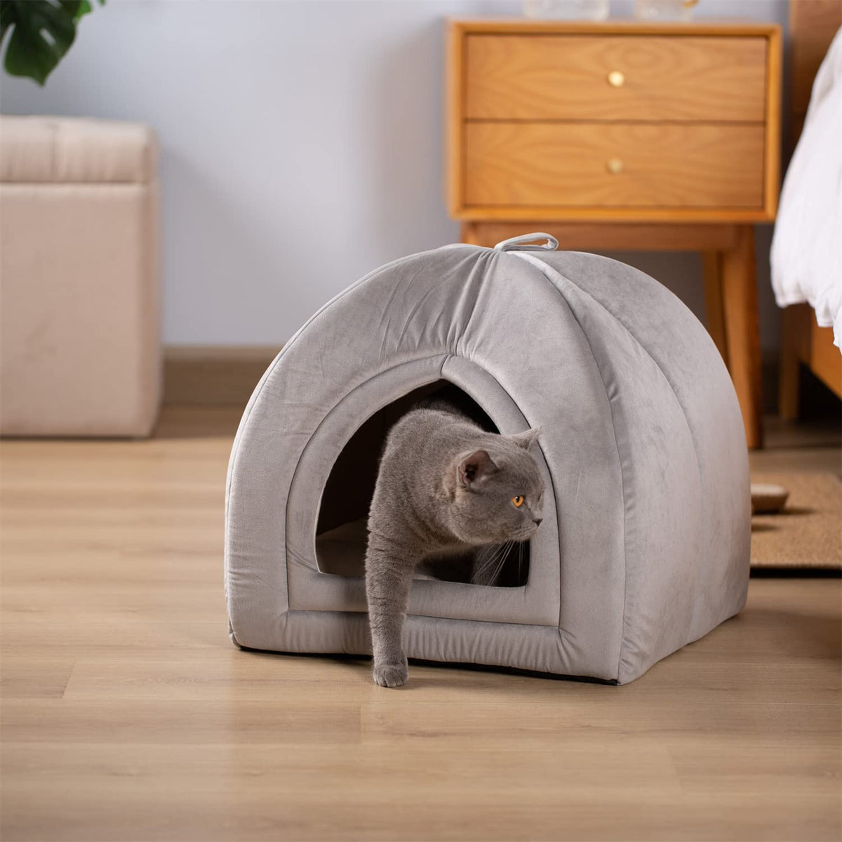 Gray soft cat bed cushion with arched entrance; cat peeking from the doorway