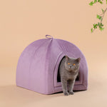Purple soft cat bed cushion with arched doorway; cat sitting inside the pet house