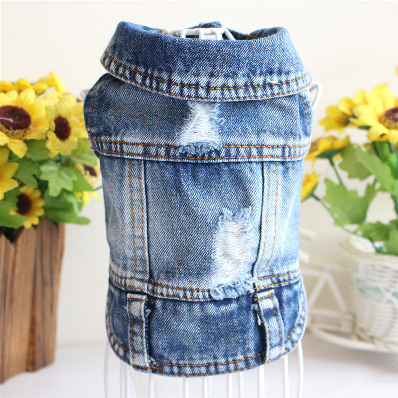 Blue denim pet jacket with frayed collar, distressed front, and stitched waist trim