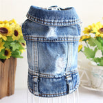 Blue denim pet jacket with frayed collar, distressed front, and stitched waist trim
