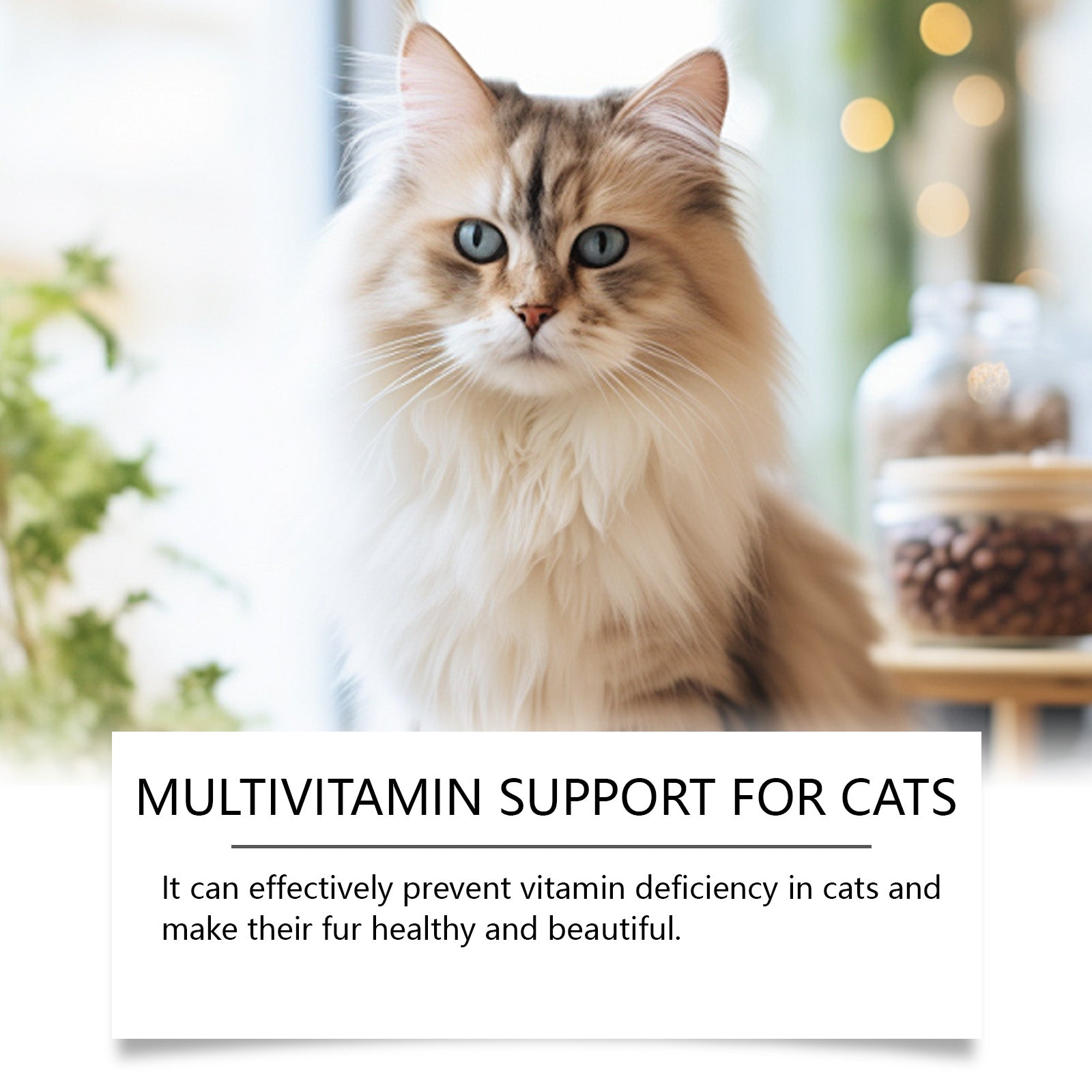 Cat portrait with multivitamin support bottle and box nearby