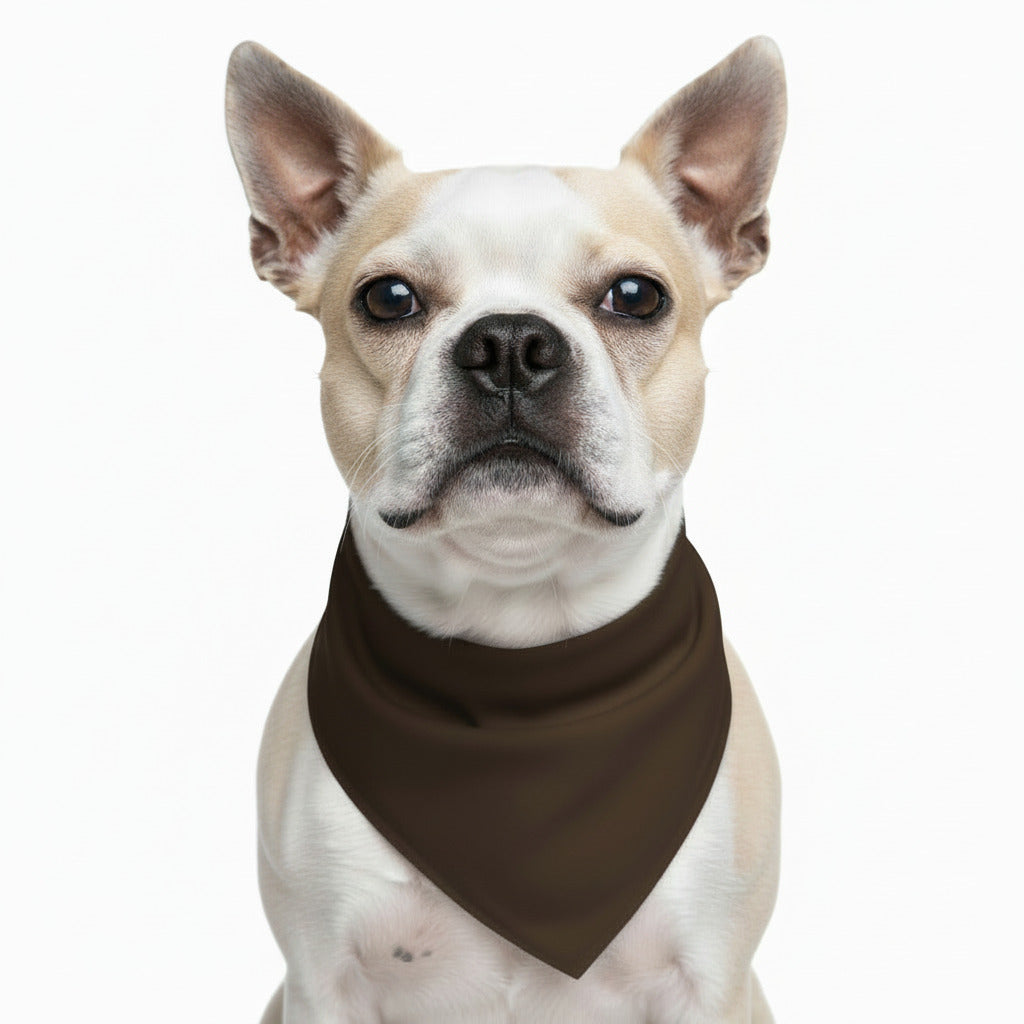Dog pet bandana with dark brown triangle bib on white dog