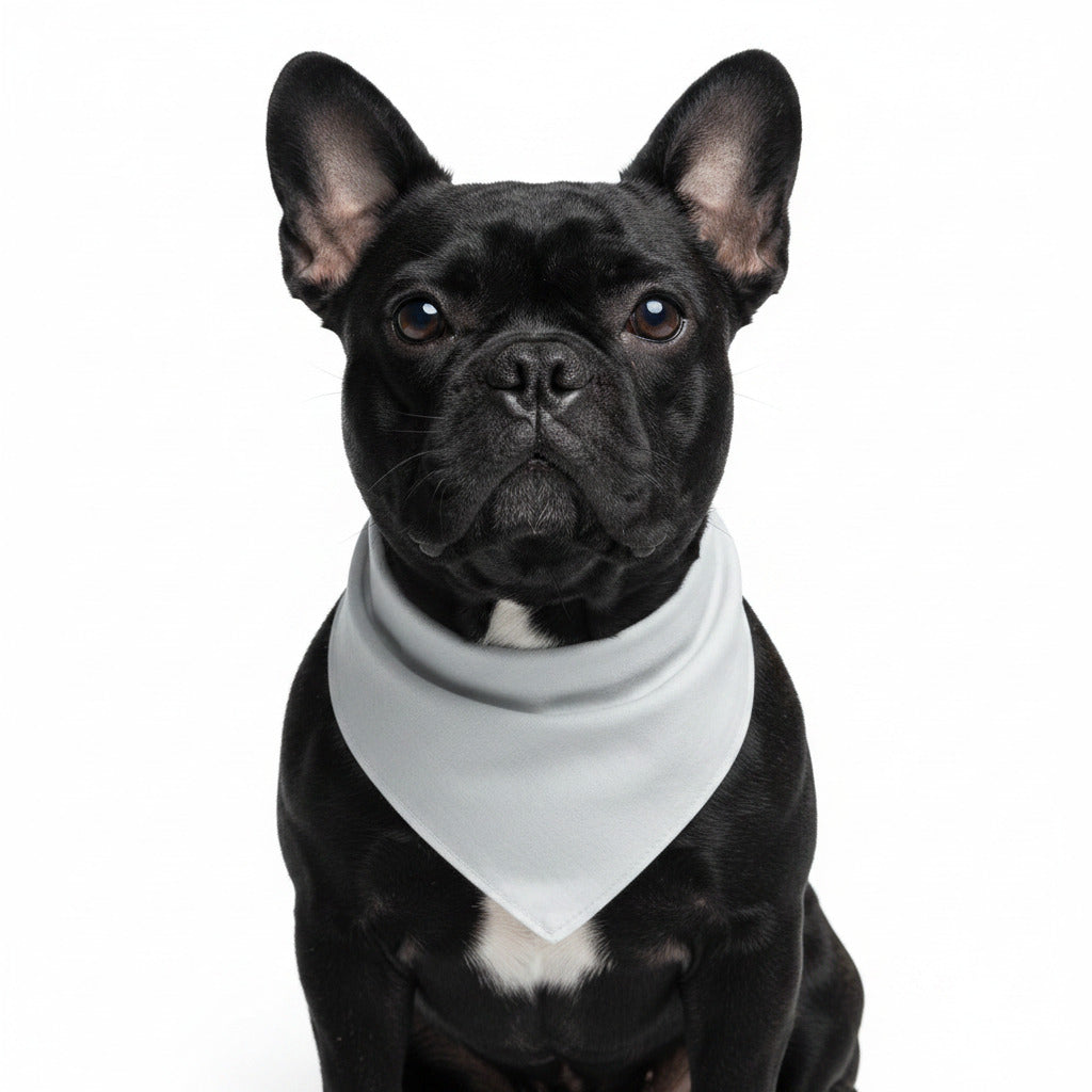Dog pet bandana with white triangle bib on black dog