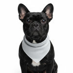 Dog pet bandana with white triangle bib on black dog