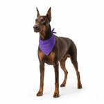 Dog pet bandana with purple triangle bib on dark brown dog
