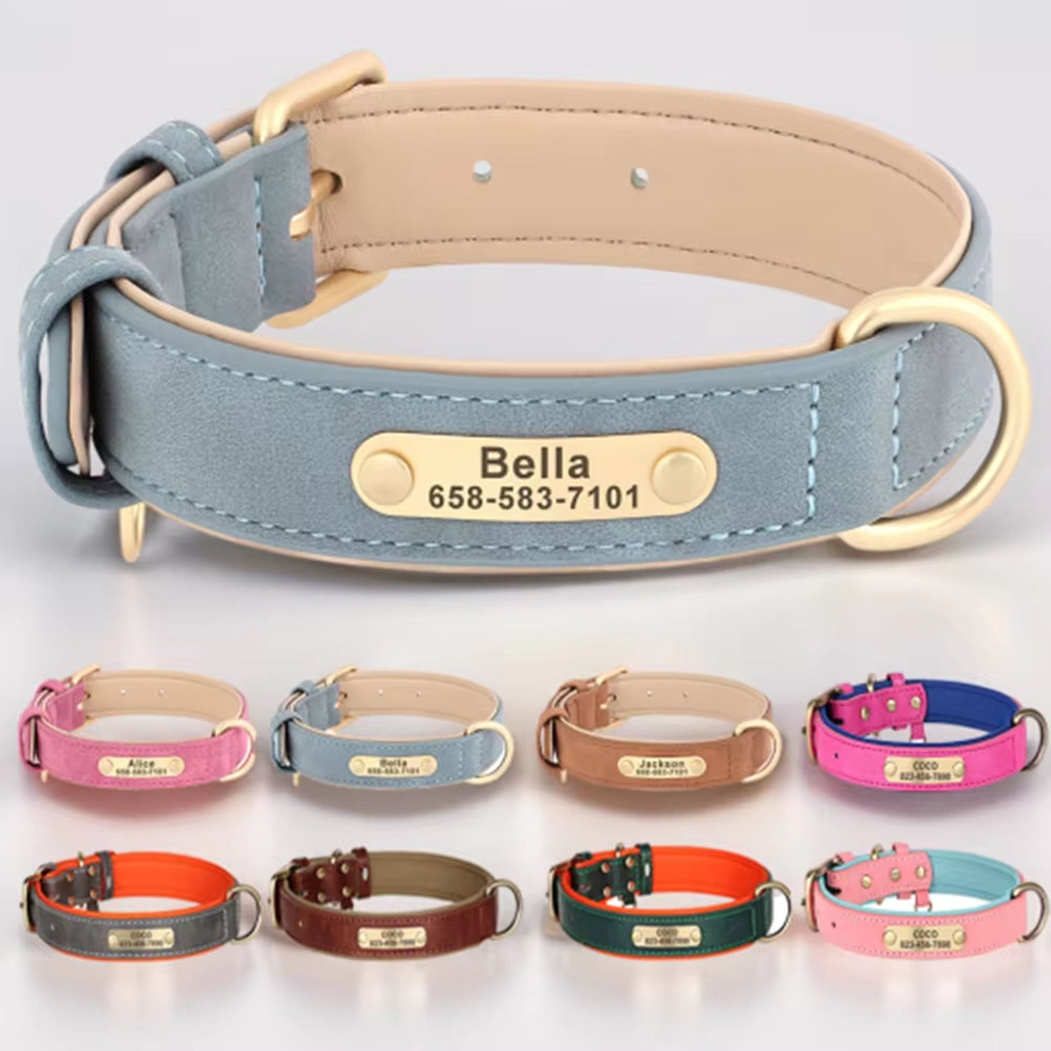 Light blue PU dog collar with engraved ID name plate and gold-tone buckle