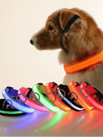Red LED pet collar on dog, bright light strip around the neck