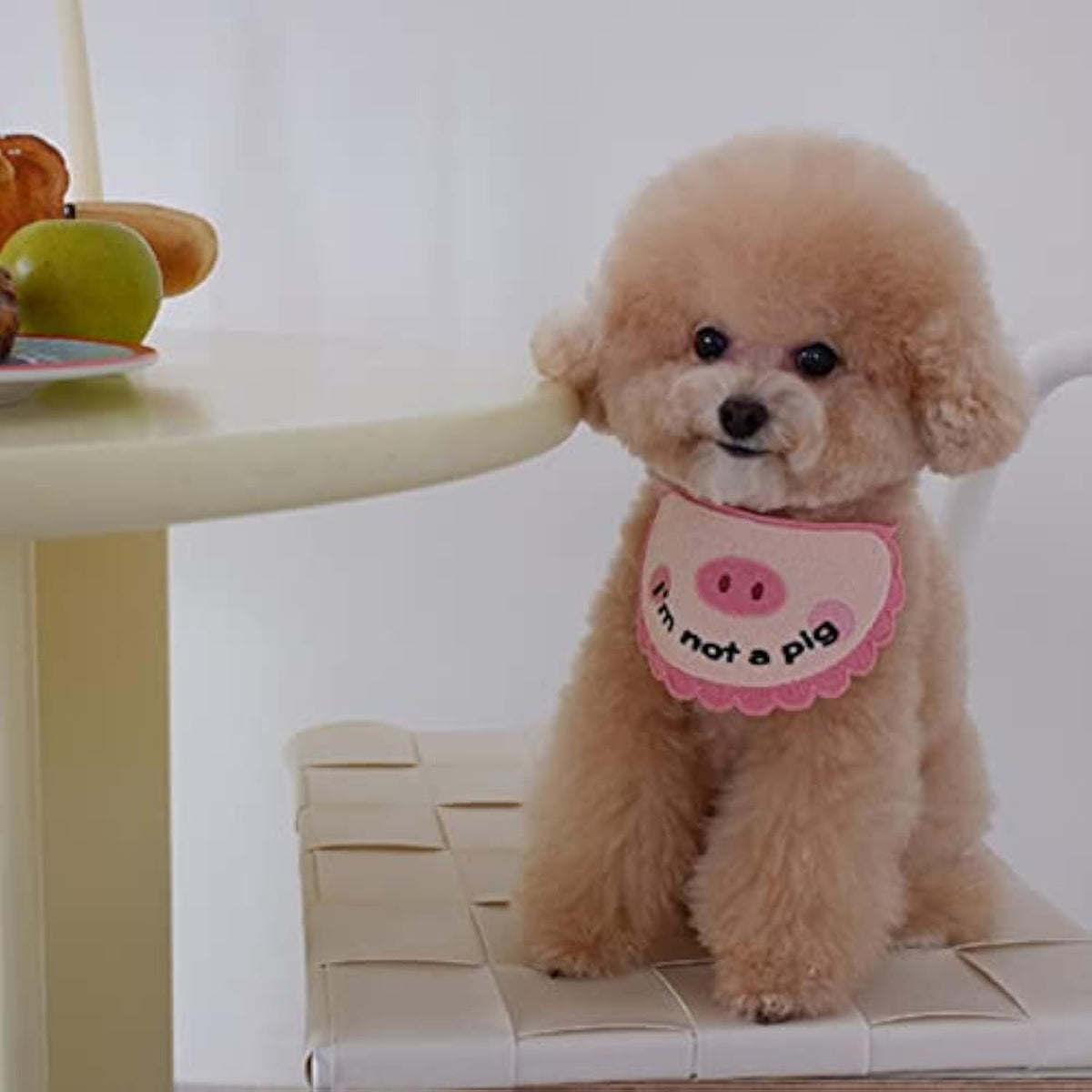 Toy-sized dog wearing pink crochet drool towel bib with pig face applique