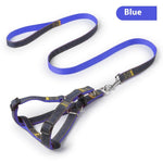 Blue leash and denim dog harness set with metal snap clips and D-ring