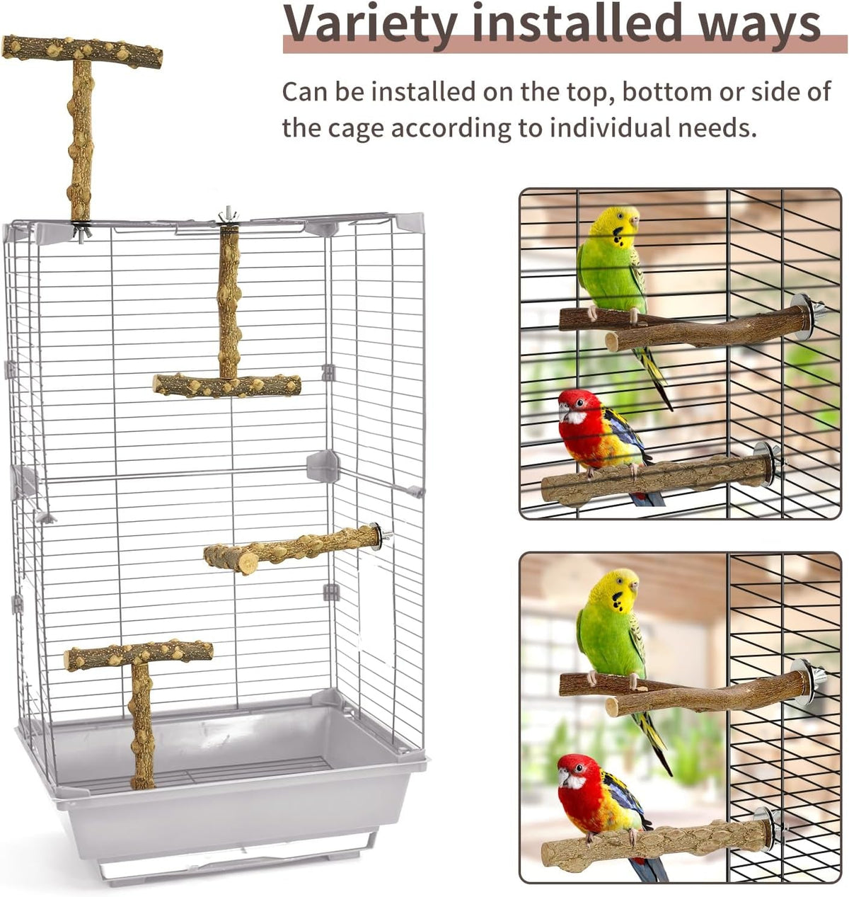 Natural wood perch set with multiple branches mounted inside a wire bird cage