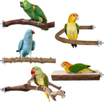 Natural wood bird perch set with four branch perches and metal bar mounts, birds perched