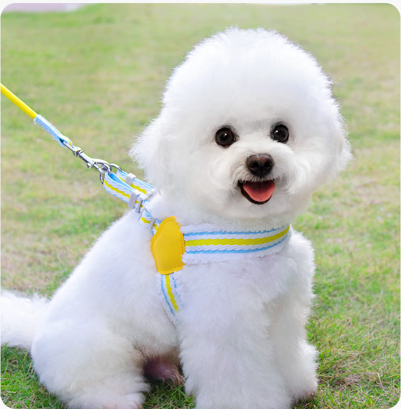 Breathable dog chest harness with yellow heart pad and striped leash, on small white dog