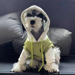 Fleecegefütterter Hundehoodie in Grün mit Kapuze und Kordelzug, Vorderansicht