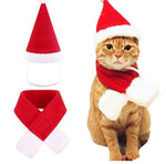 Pet Santa hat and scarf set shown with cat model wearing red hat and red scarf
