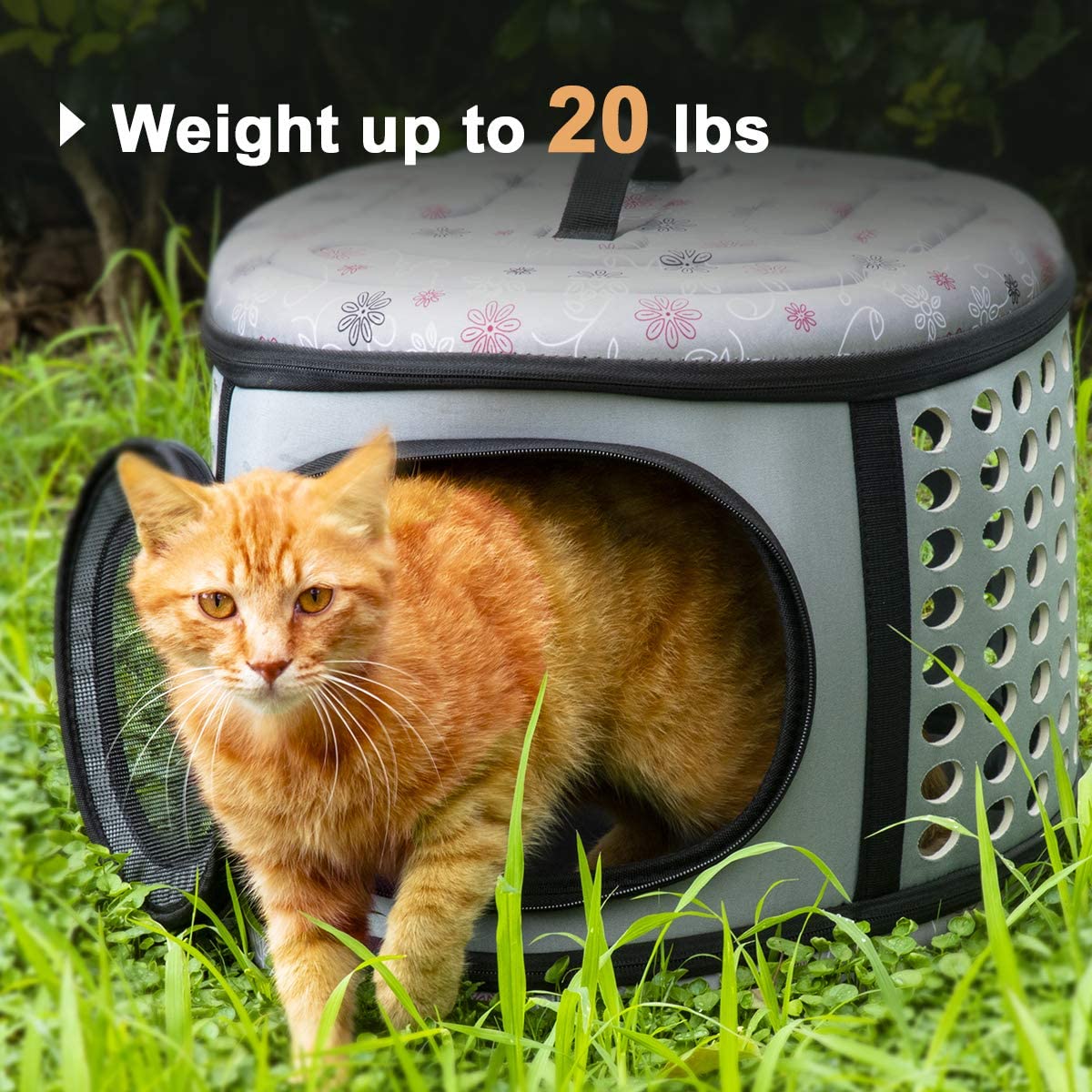 Gray and white foldable pet carrier with front mesh panel and orange cat inside